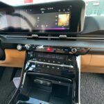Kia Carnival 2020г. — изображение 19